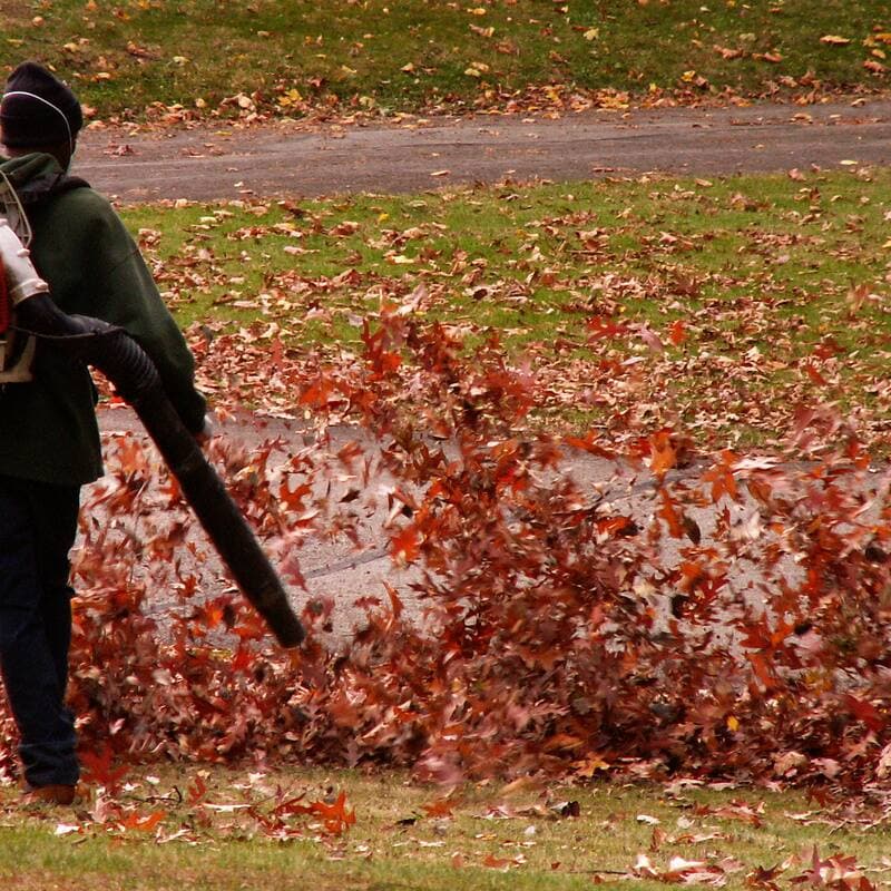 A worker with a backpack blower pushes a wave of red and brown leaves across a lawn toward the driveway