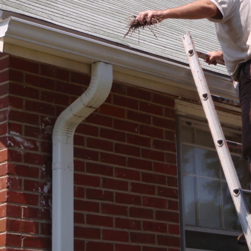 A worker on an extension ladder reaches into a gutter at the eave of a house