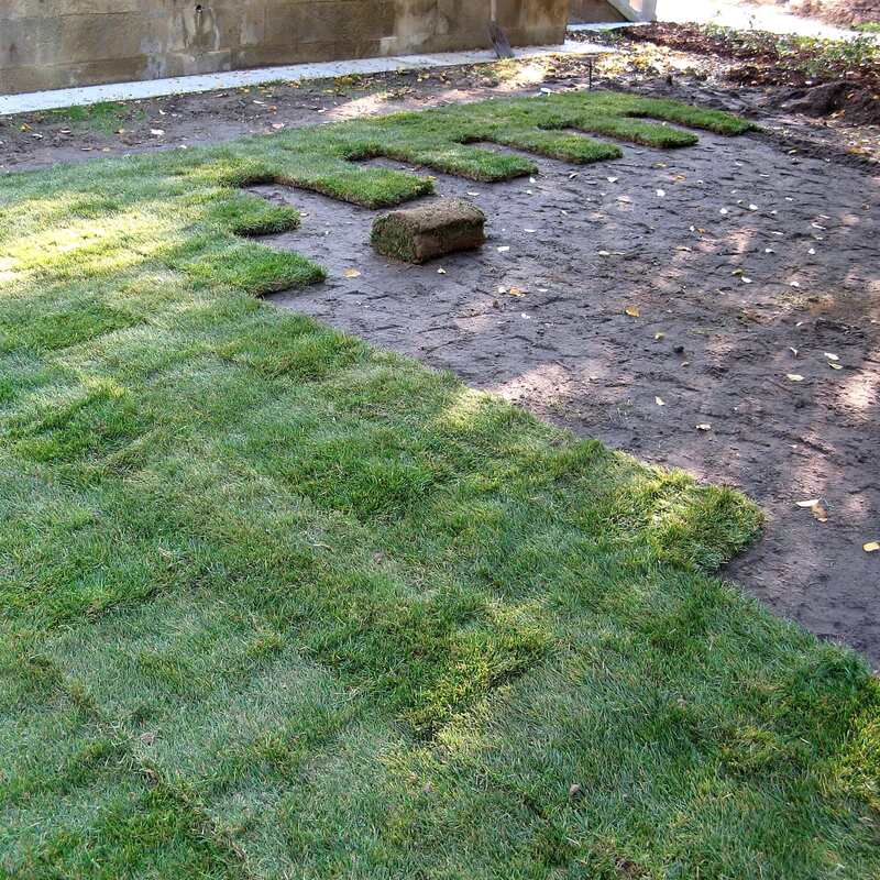 Landscaping work in progress