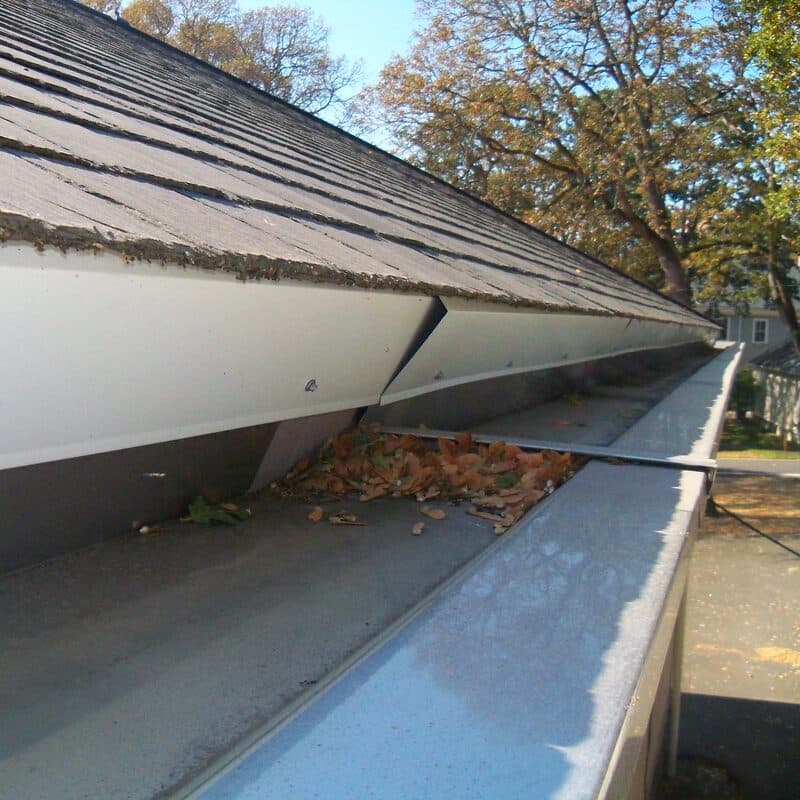 Dry leaves gathered in a metal gutter below the edge of a shingle roof, with trees behind