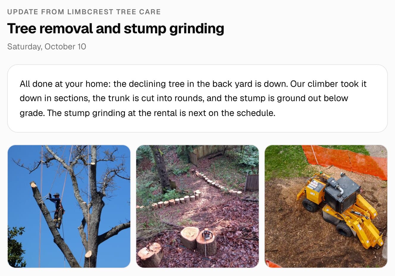 A job update in the customer's MakeHay portal: the note on a finished tree removal and stump grinding, and photos of a climber taking a tree down in sections, the trunk cut into rounds and a stump grinder at work.