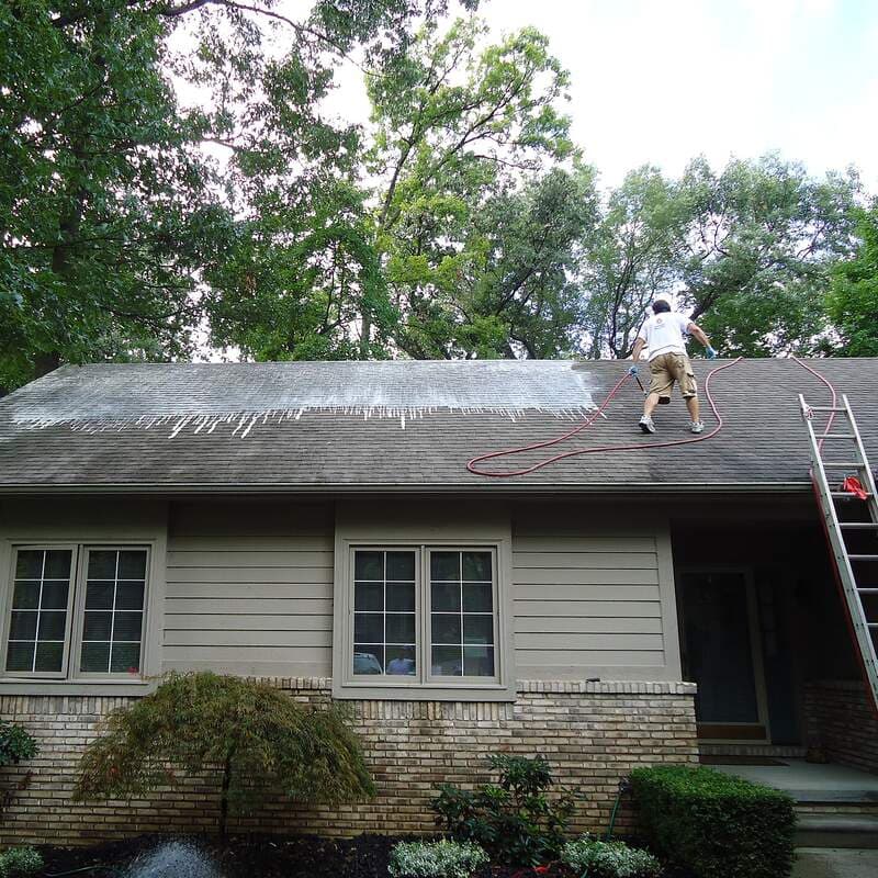 Dark algae streaks on an asphalt shingle roof before a soft wash