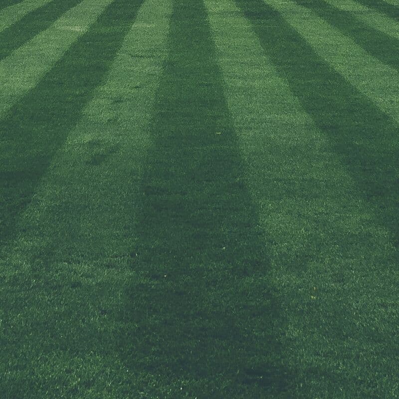 A freshly mowed lawn with alternating light and dark stripes