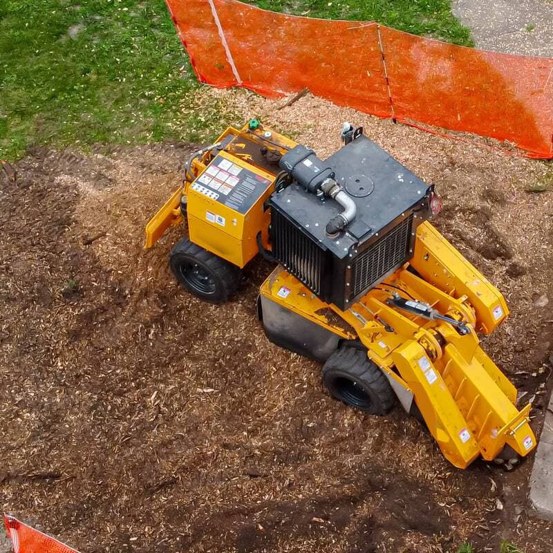 A stump grinder's cutter wheel working a stump