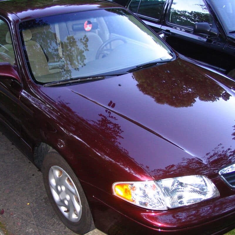 A freshly washed dark red sedan with trees reflected in its hood