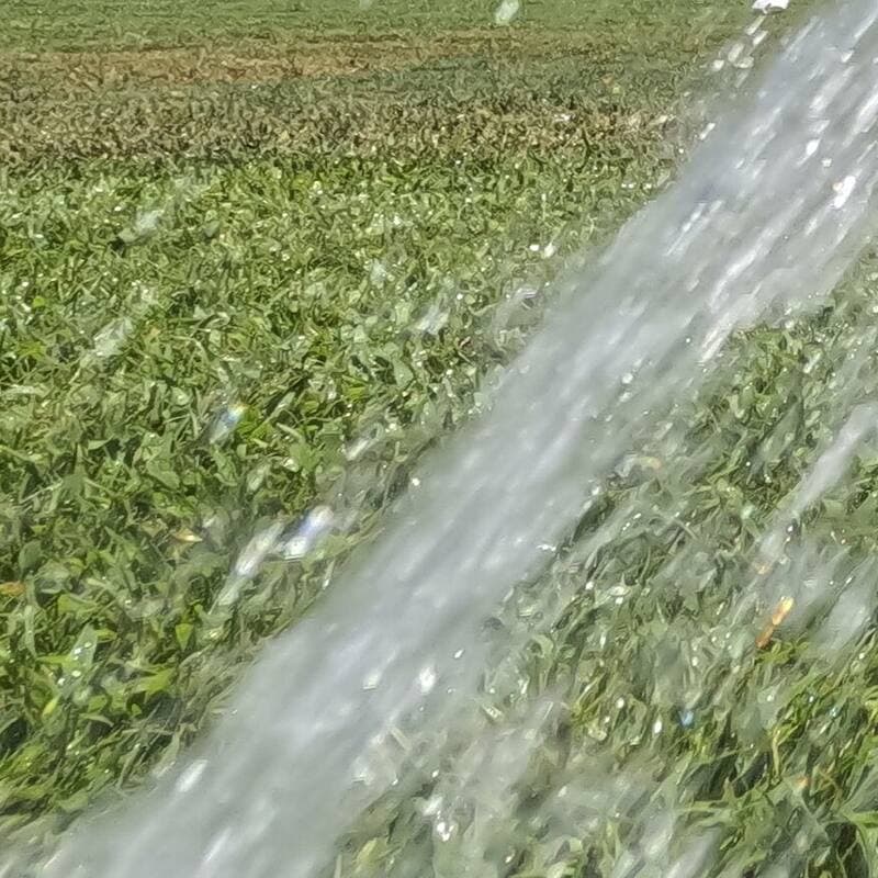A pop-up sprinkler head spraying water across a lawn during a zone test
